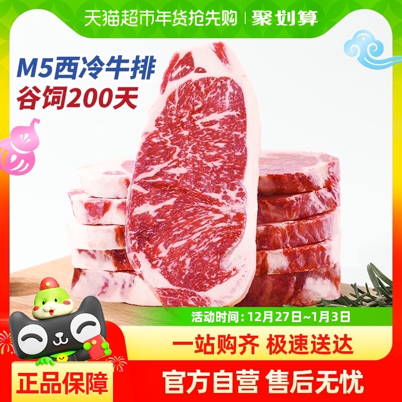 ��ţm5����ţ��ԭ�й��Ǻ���ѩ��ţ��ţ������ţ�ǰ��޽���