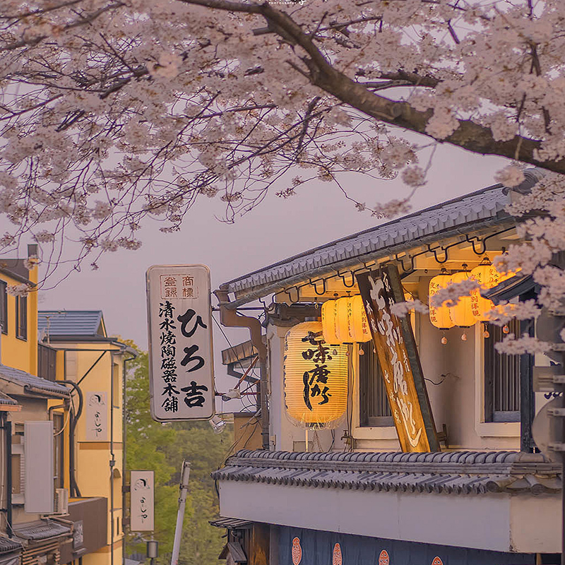 实体换票证+顺丰包邮 从成田/羽田/关西国际机场由北陆地区（金泽·富山）前往东京大阪观光 从东京经北陆到大阪京都，畅游东京、大阪、北陆地区各大城市，连续7天 指定范围内新干线、特急列车、快速列车、普通列车任你搭，往来快捷
