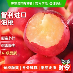 智利进口油桃子脆甜雪水蜜小冬桃新鲜水果时令当季孕妇