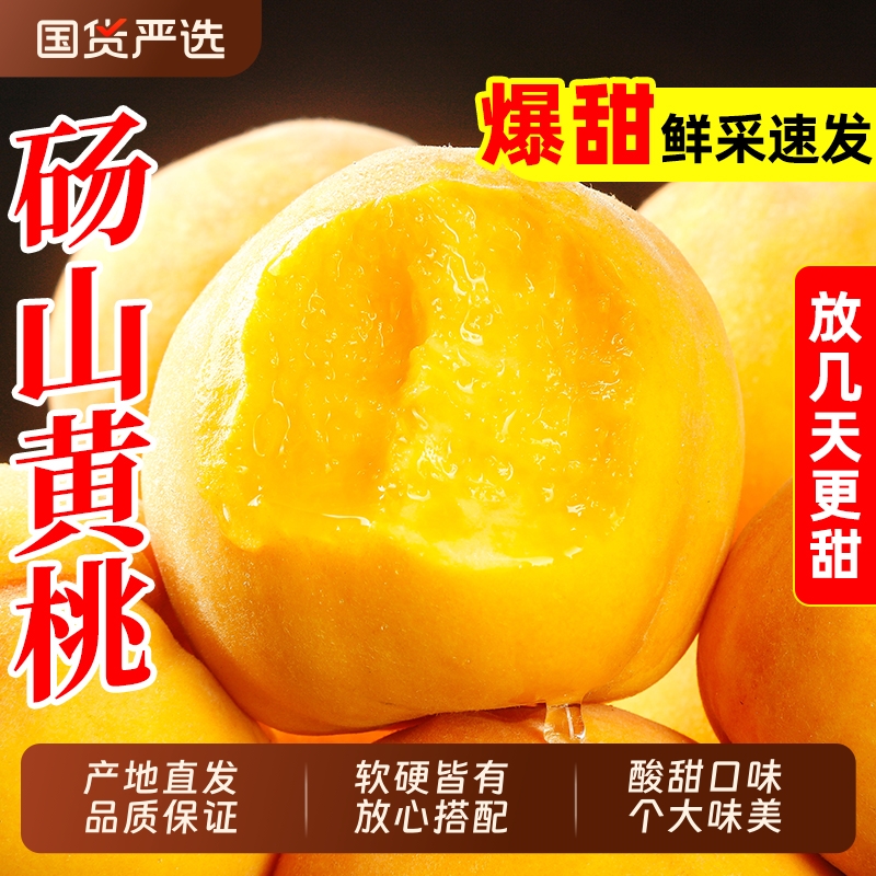 黄桃砀山黄金桃黄心油桃水果桃子酸甜口味现摘罐头桃软桃硬桃