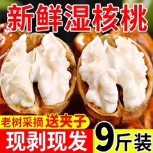 2025年新鲜湿核桃去青皮嫩核桃老树薄纸皮核桃孕妇专用生核桃新货