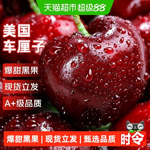 京运达美国进口车厘子颗颗精选