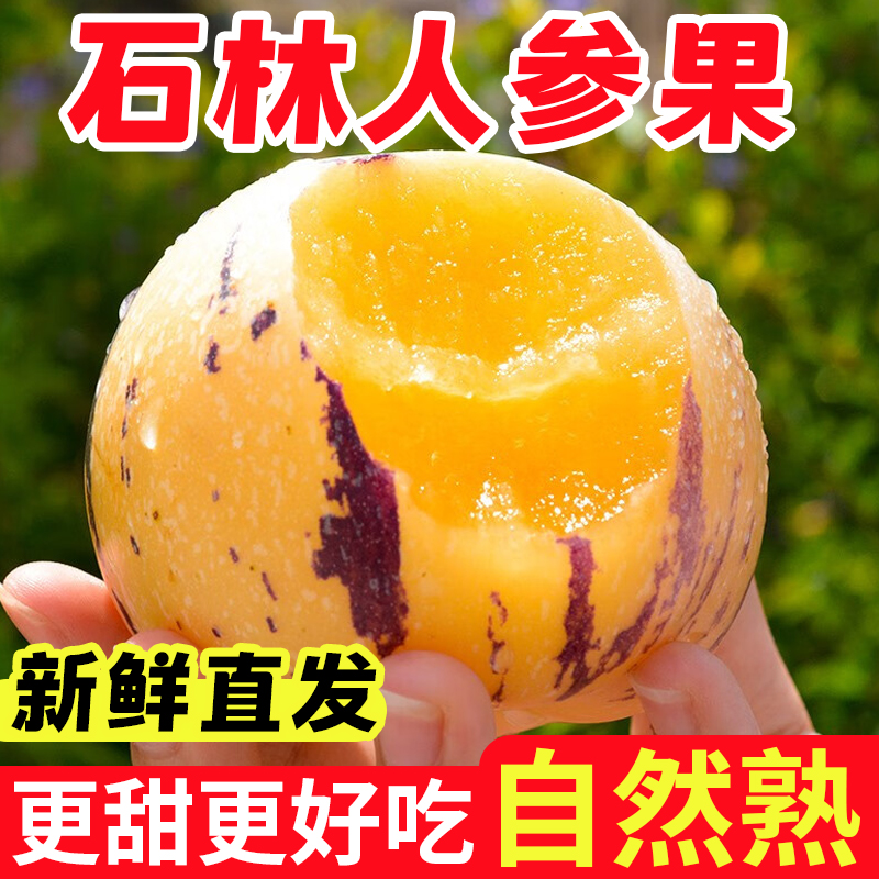 云南石林人参果大果黄果圆果源头直采新鲜应季水果