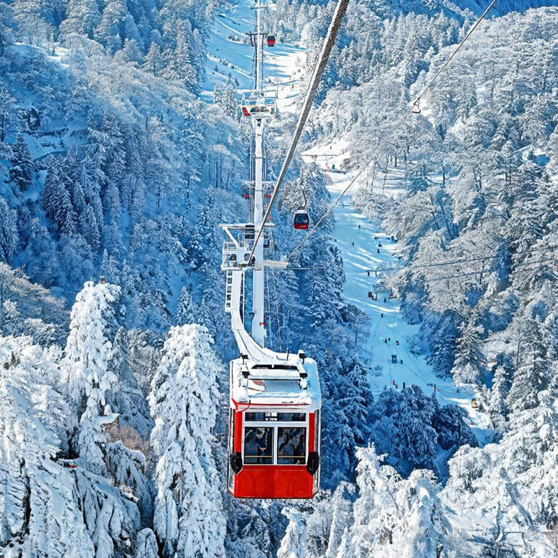 【国企出品】冰雪瓦屋山（含索道）+柳江古镇+乐山美食纯玩二日游,度假线路/签证送关/旅游服务,境内跟团游,淘宝优惠券,粉丝福利购,淘宝优惠卷