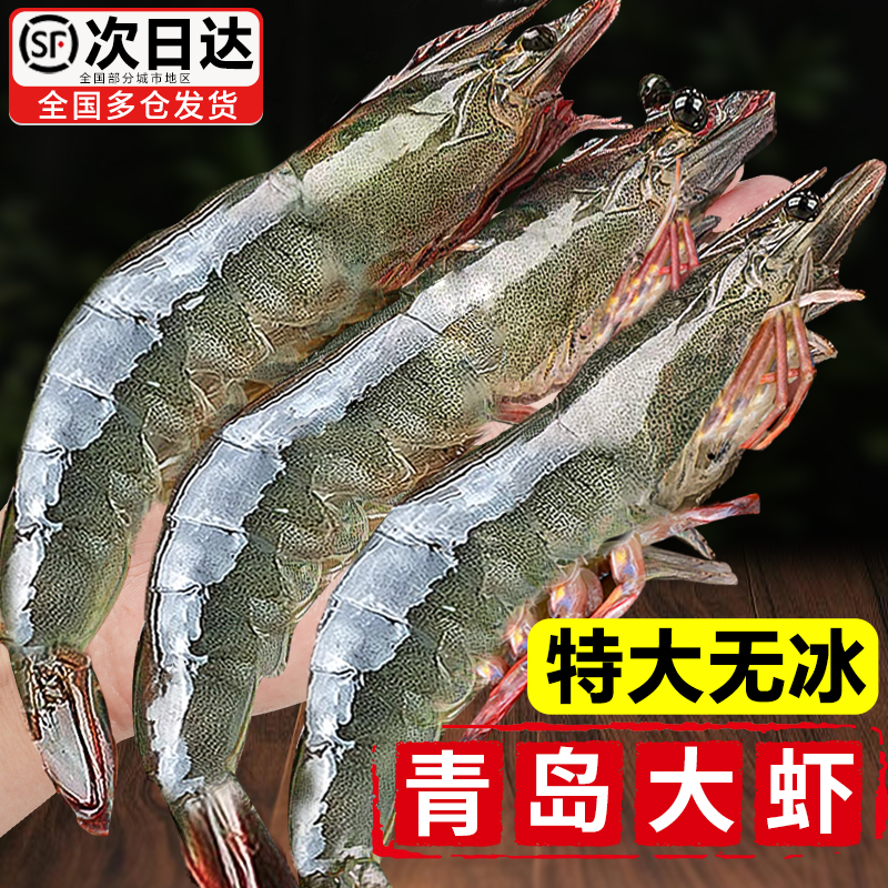 大虾鲜活超大基围虾特大青虾冷冻青岛鲜对虾速冻海虾虾类海鲜水产