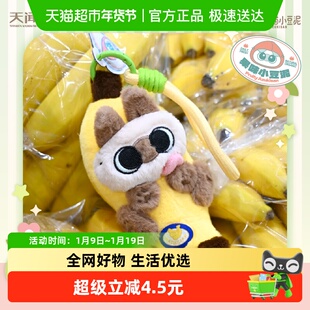 顺丰暹罗猫小豆泥快闪果味小豆泥系列毛绒耳机包挂可爱周边挂件