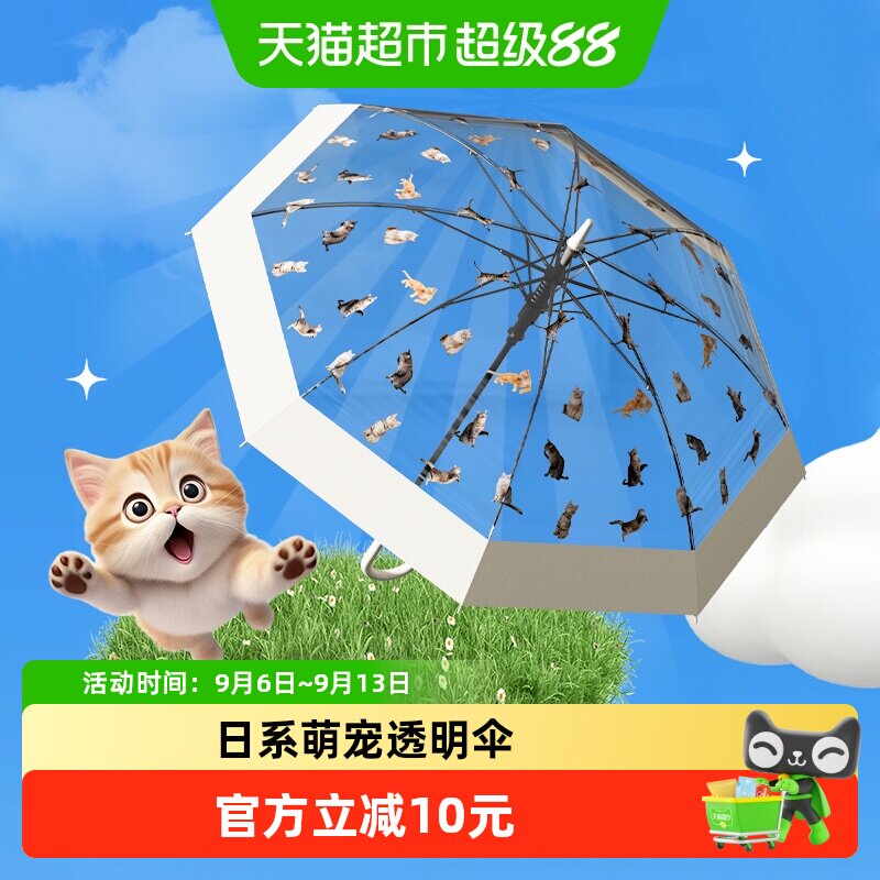 天玮伞业日系网红氛围感透明雨伞猫狗萌趣伞高颜值男女长柄伞
