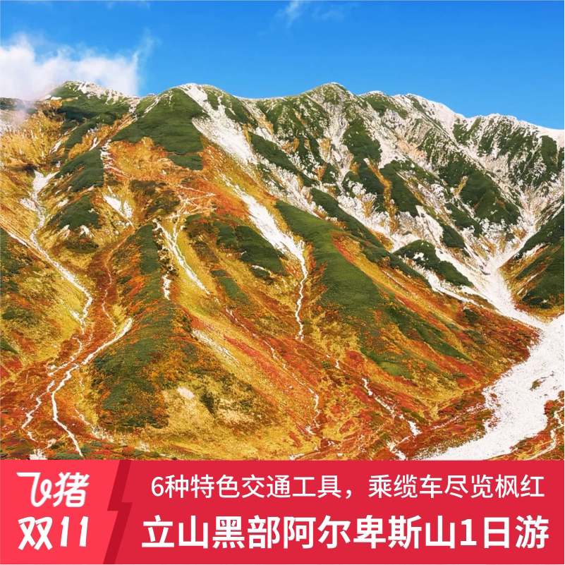 【双十一】中文导游日本立山黑部阿尔卑斯山路线一日游黑部水坝