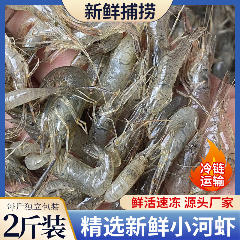 青岛淡水域小河虾500g新鲜活虾捕捞速冻清水河虾青虾土虾草虾水产,水产肉类/新鲜蔬果/熟食,冻虾,淘宝优惠券,粉丝福利购,淘宝优惠卷