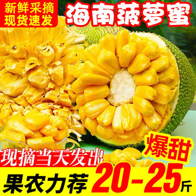 海南黄肉菠萝蜜新鲜水果干包黄肉满肉当季特产包邮一整个