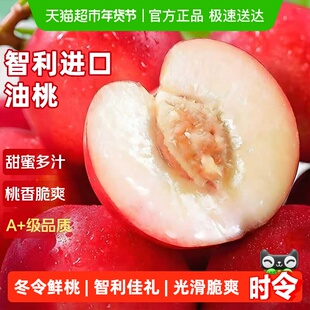 智利进口油桃子脆甜雪水蜜小冬桃新鲜水果时令当季孕妇
