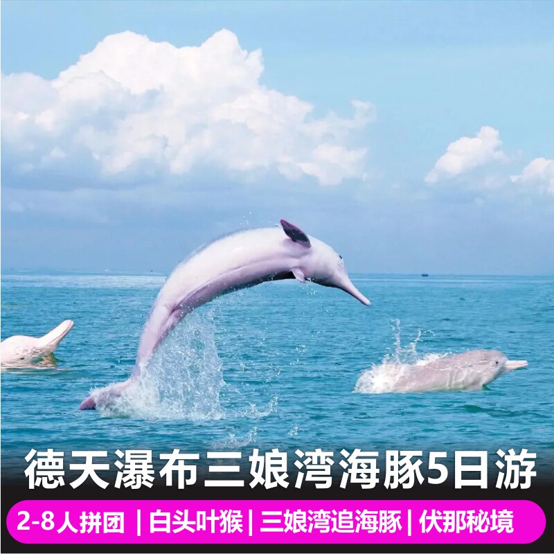 南宁崇左德天明仕三娘湾付那秘境白头叶猴旅游2-8人纯玩五日游