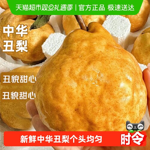 寻天果蔬软糯多汁梨子中华丑梨