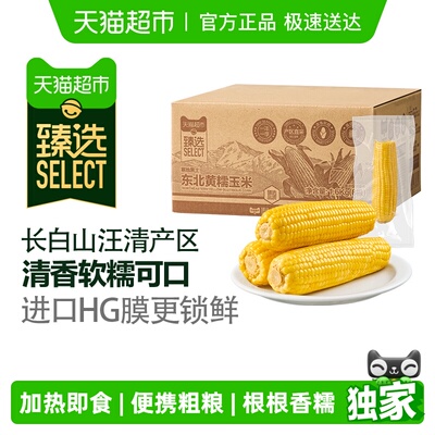 臻选黄糯玉米粘糯苞谷