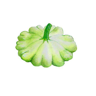 特价迷你 观赏玩具南瓜果 四季播 蔬菜种子 小南瓜阳台瓜种子套餐