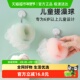 儿童洗澡神器澡巾搓澡球婴儿小孩沐浴球宝宝浴球浴花泡泡浴泡澡夏