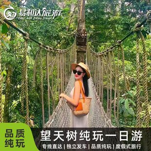 [西双版纳望天树景区-联程票（门票+南腊河观光游船+树冠走廊）+直通车]望天树景区直达车+景区套票