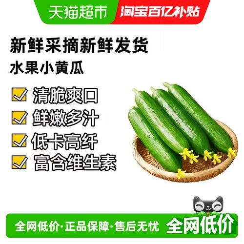 众利合山东水果黄瓜凉拌小菜