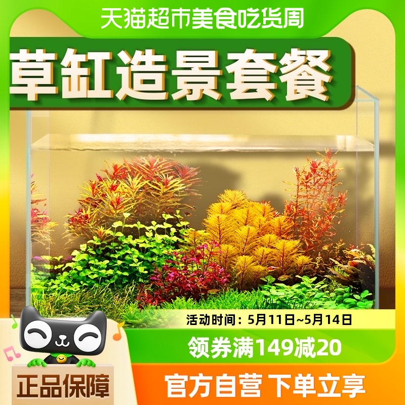 包邮水草植物鱼缸浮萍造景阴性活体红波趴地矮珍珠淡水榕沉木莫斯