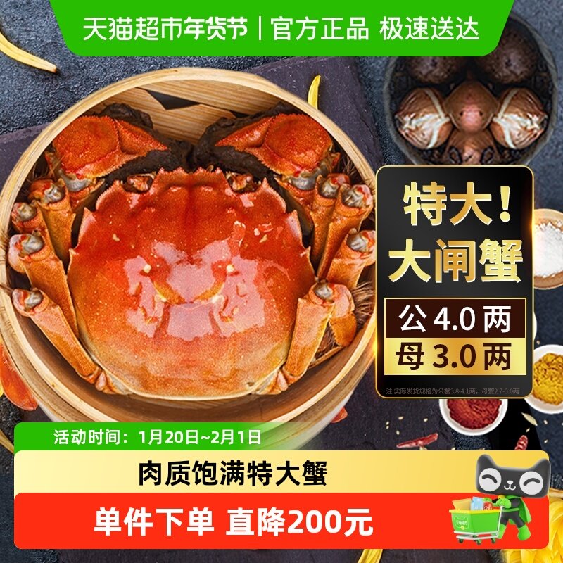 湖塘烟雨苏州大闸蟹鲜活螃蟹公3.7-4.0母2.7-3.0两*8只装海鲜礼盒,水产肉类/新鲜蔬果/熟食,大闸蟹,淘宝优惠券,粉丝福利购,淘宝优惠卷