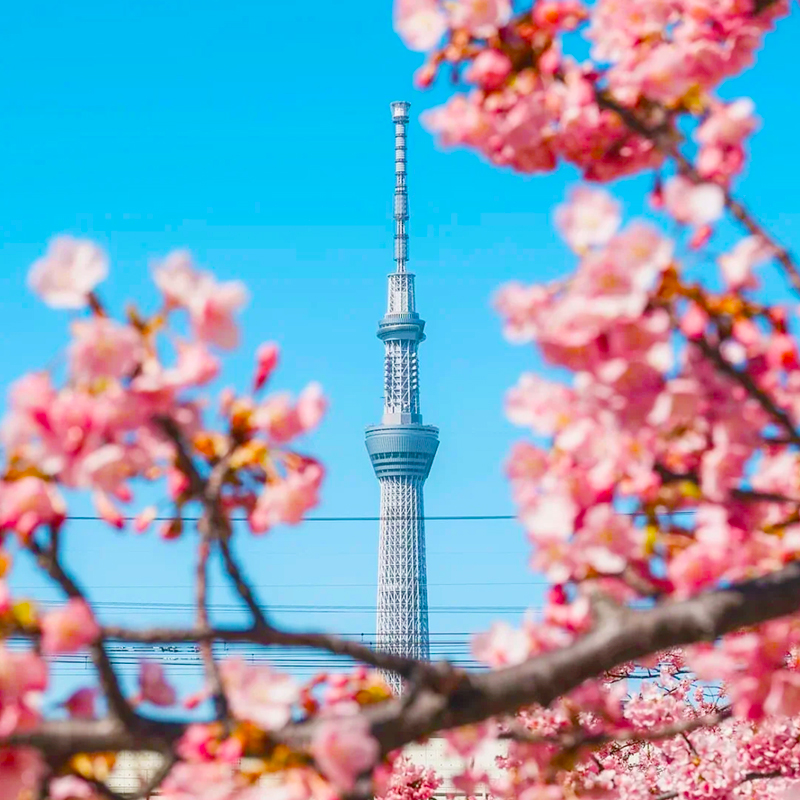 东京大阪神户四日游