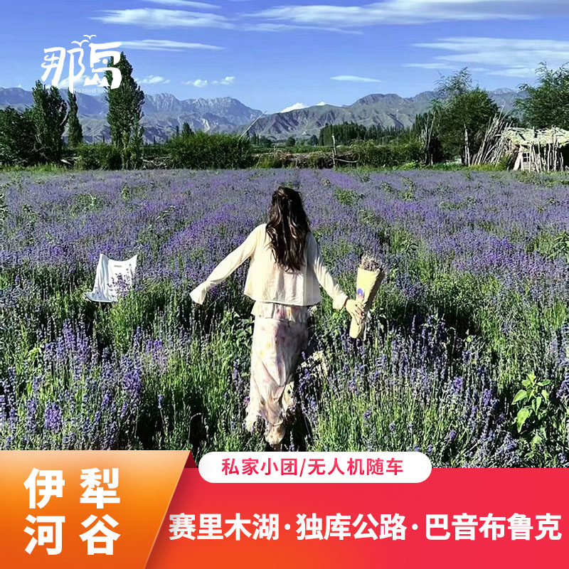 定制旅行新疆旅游包车纯玩7日赛里木湖伊犁独库那拉提草原喀纳斯