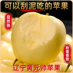 大连黄元帅苹果新鲜水果东北黄金帅粉面香甜香蕉整箱当季大果包邮