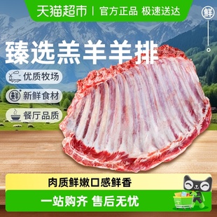 祁连天宝甘肃羔羊羊排原切新鲜羊肉羊肋排烤羊排火锅烧烤食材