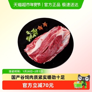 伊赛国产谷饲原切牛腱子原切牛腱健身新鲜牛腿肉炖煮烧烤食材