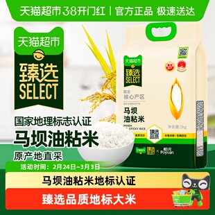 臻选】舶元2025新米马坝油粘米南方地理标志保护一级大米岭南风味