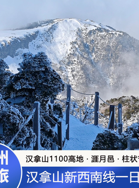 济州岛一日游西南线汉拿山线 柱状节里 山茶花之丘 实弹 涯月邑