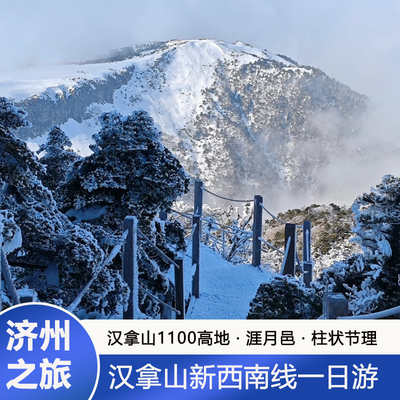 济州岛一日游西南线汉拿山线 柱状节里 山茶花之丘 实弹 涯月邑