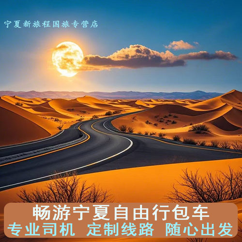 宁夏银川阿拉善左旗周边腾格里沙漠五湖穿越沙坡头多日旅游包车