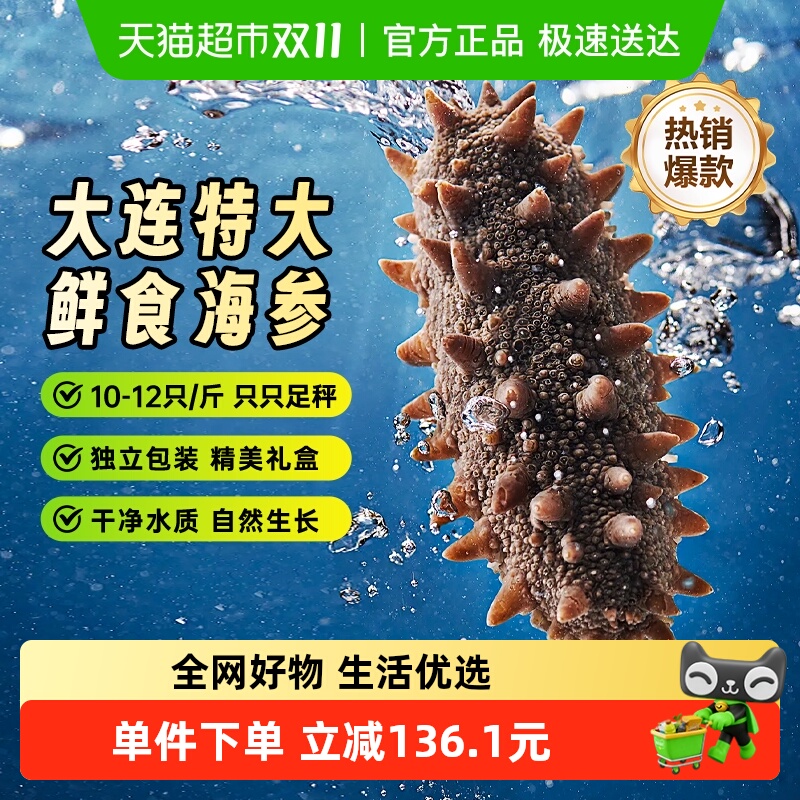 【5年海参】野生大连即食海参礼盒鲜活独立包装辽参刺身大只1斤