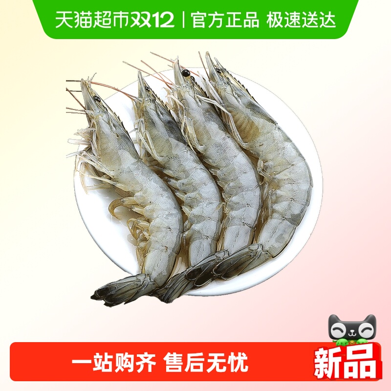 青岛大虾冷冻白虾