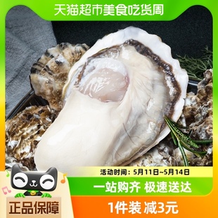 贝司令山东乳山精品生蚝鲜活牡蛎240g单只海鲜水产送蚝刀