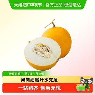 甘肃民勤蜜瓜金红宝甜瓜黄河蜜瓜装新鲜水果顺丰包邮