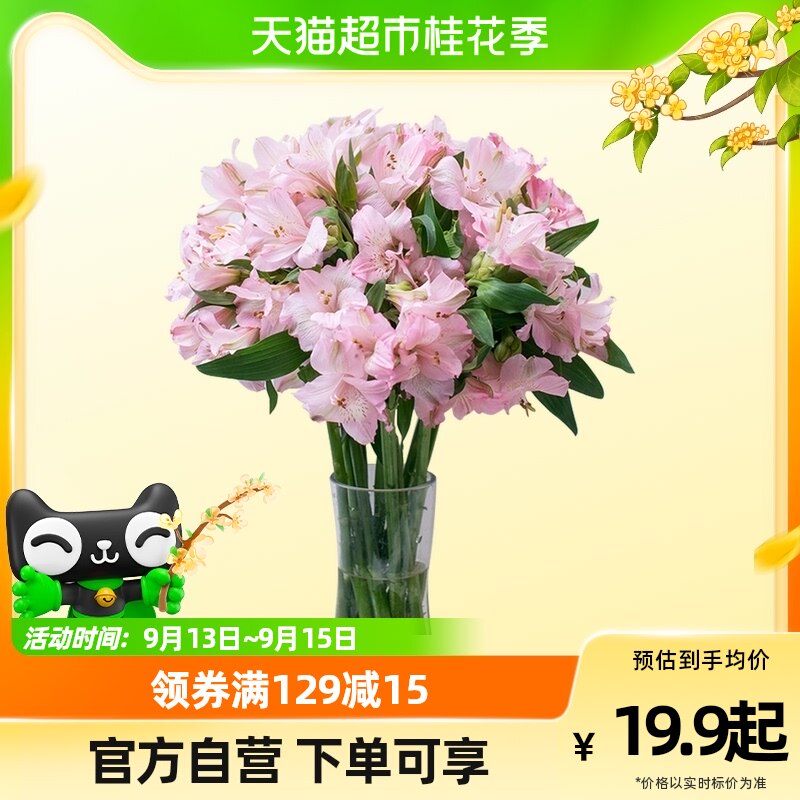 【夏日焕新颜】花点时间六出花20枝水仙百合花苞发货云南顺丰包邮怎么看?