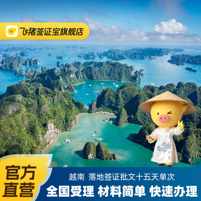 越南·落地签证批文·移民局网站·【飞猪官方直营】越南签证落地批文15天单次加急个人旅游商务电子签另纸签,度假线路/签证送关/旅游服务,普通签证,淘宝优惠券,粉丝福利购,淘宝优惠卷