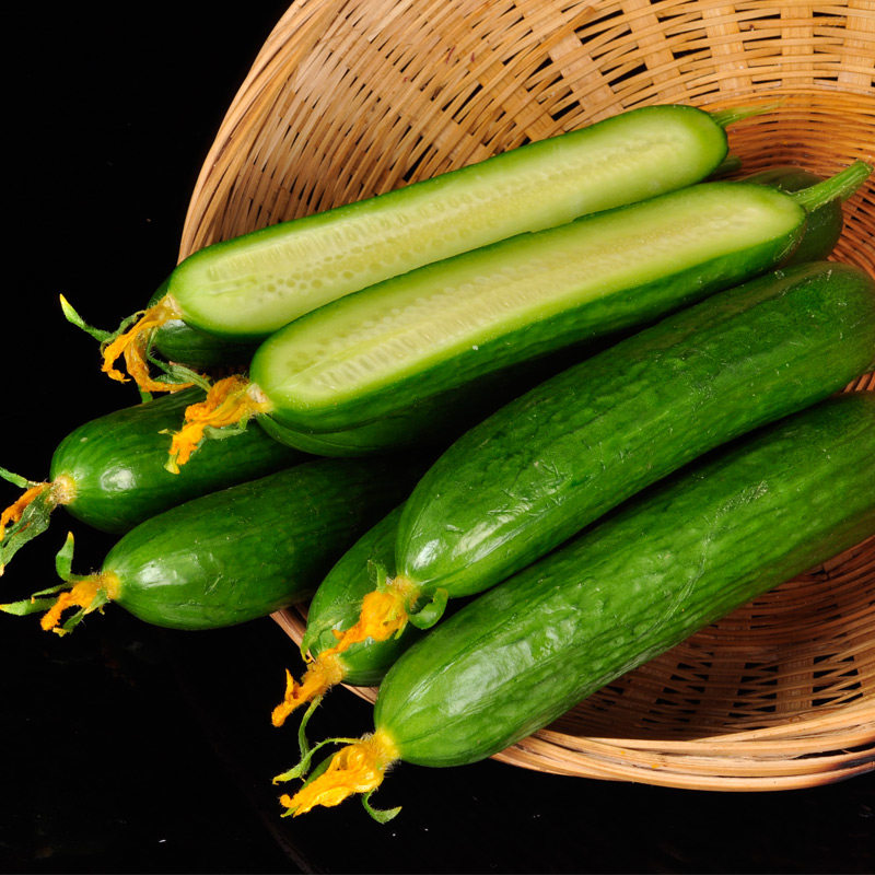 寿光水果小黄瓜新鲜现摘1-4.5斤荷兰无刺黄瓜生吃清脆爽口自种,水产肉类/新鲜蔬果/熟食,黄瓜,淘宝优惠券,粉丝福利购,淘宝优惠卷