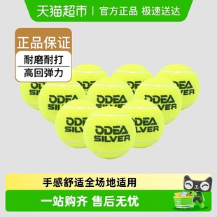 欧帝尔网球Gold专业Silver款 Diamond训练球高回弹ROSE无压散网球