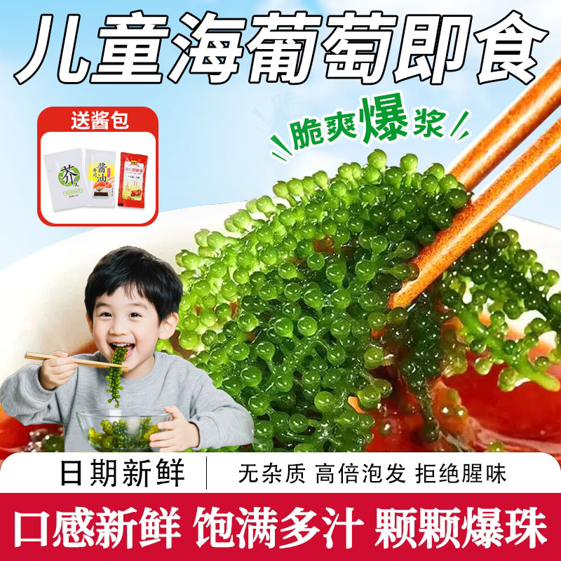 海葡萄儿童即食海葡萄植物鱼子酱海藻凉拌菜盐渍水葡萄爆珠浆海草
