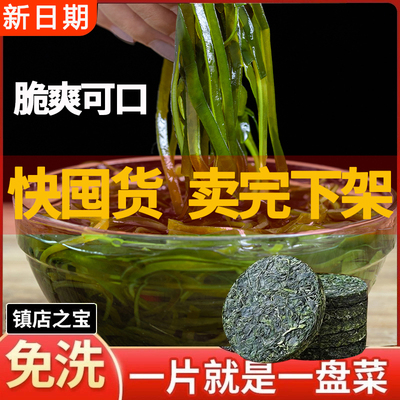 烘干压缩海带丝海带干货圆饼小包装干海带丝无沙凉拌炒菜麻辣烫