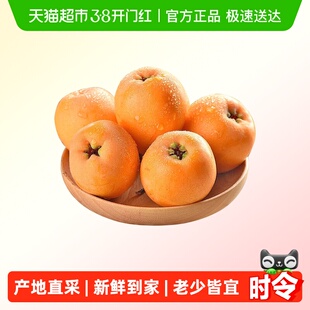 柠满园正宗云南蒙自大枇杷大果鲜果新鲜水果琵琶大五星产地直供