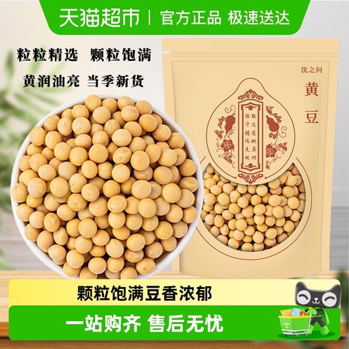 沈之问颗粒饱满黄豆