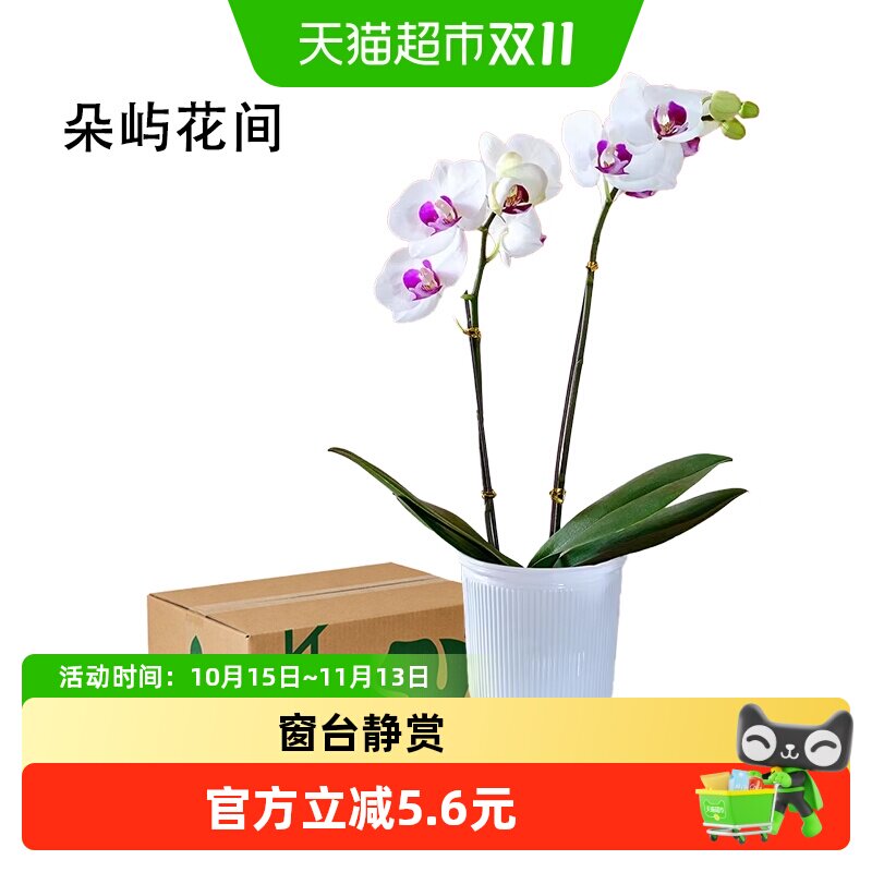 千禾零添加味极鲜1.52kg*2瓶 14.7元 - 86线报