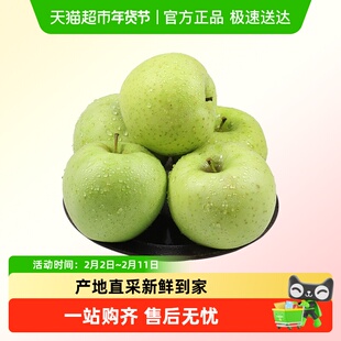 裕鲜生正宗山东烟台王林苹果青森雀斑美人青苹果应季新鲜水果