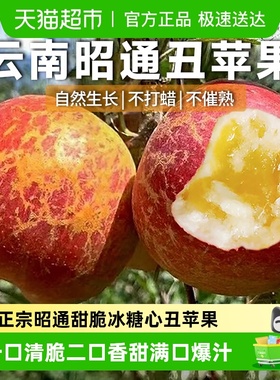 云谷造云南昭通糖心丑苹果高原内藏冰糖心清脆香甜新鲜采摘孕妇