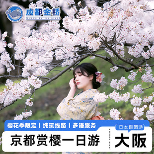日本樱花限定大阪京都赏樱一日游背割堤河津樱宇治胜尾寺箕面瀑布