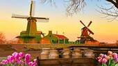 荷兰阿姆斯特丹出发 8人小团品奶酪华夫饼 羊角村风车村一日游